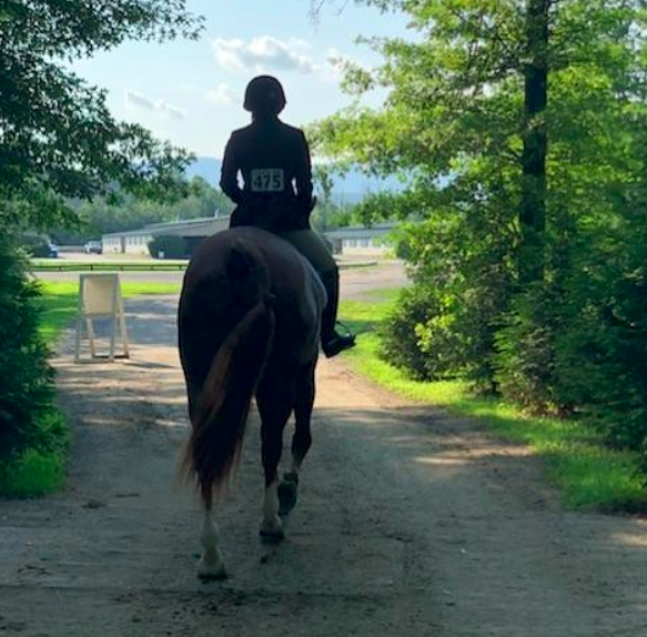 Essexequestriancenter